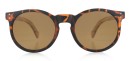Sonnenbrille, Sunglasses X-UP, Matte Tortoise PC + brown...