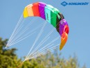 Schildkroet Dual Line Sport Kite 1.3
