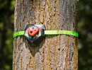 Slackers Treeclimber Ninja