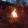 Winnerwell Flat Firepit / faltbare Feuerschale / Grill Edelstahl Größe XL