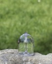 Origin Outdoors Outdoor Weinglas, 340 ml, transparent